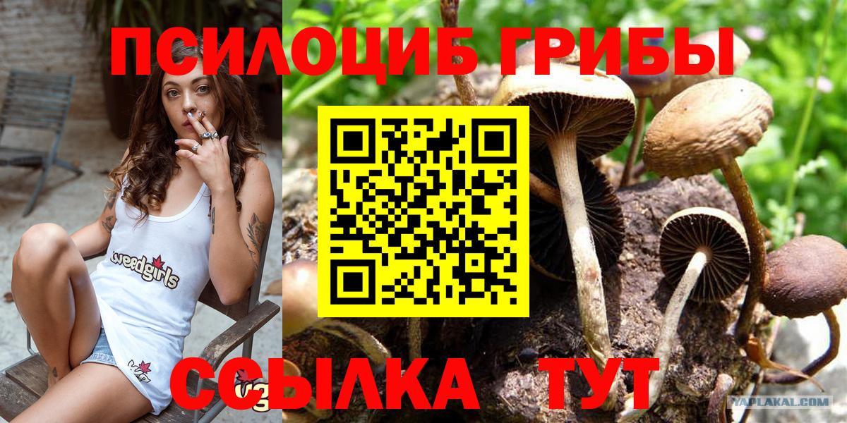 Псилоцибиновые грибы мицелий Артём